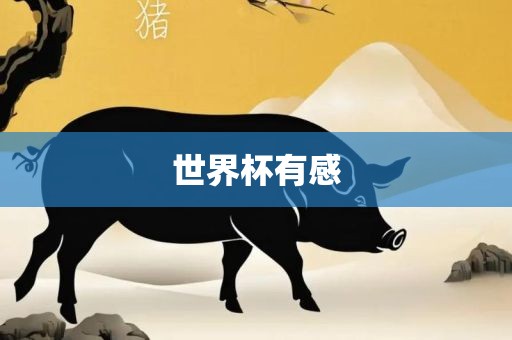 世界杯有感常熟市高丰毛纺织品有限公司