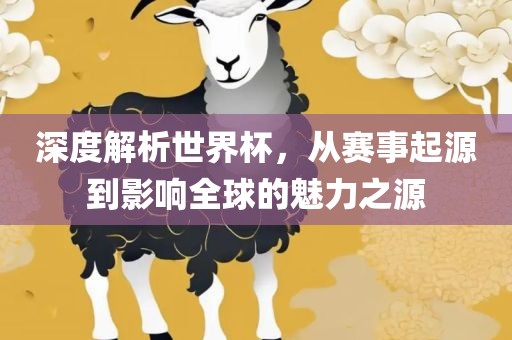 深度解析常熟市高丰毛纺织品有限公司世界杯，从赛事起源到影响全球的魅力之源