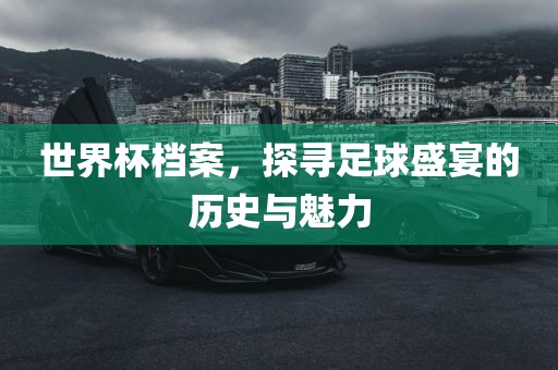 世界杯档案，探寻足球盛宴的历史与魅力常熟市高丰毛纺织品有限公司