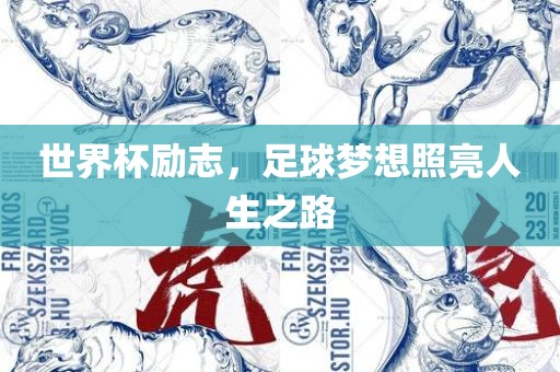 世界杯励志，足球梦想照亮人生之路