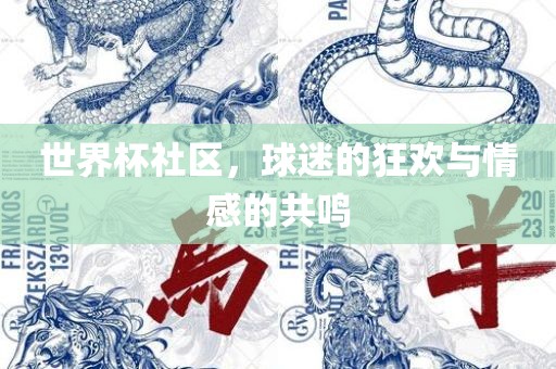 世界杯社区，球迷的狂欢与情感的共鸣