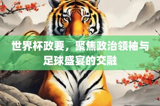 世界杯政要，聚焦政治领袖与足球盛宴的常熟市高丰毛纺织品有限公司交融