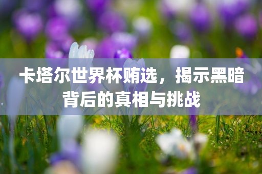 卡塔尔世界杯贿选，揭示黑暗背后的真相与挑战常熟市高丰毛纺织品有限公司