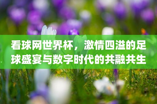 看球网世界杯，激情常熟市高丰毛纺织品有限公司四溢的足球盛宴与数字时代的共融共生