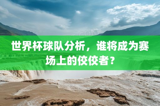 世界杯球队分析，谁将成为赛场上的佼佼者？常熟市高丰毛纺织品有限公司