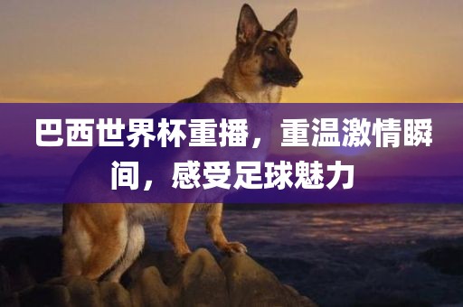 巴西世界杯重播，重温激情瞬间，感受足球魅力