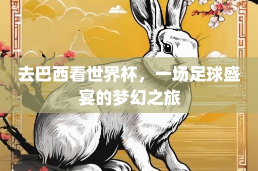 去巴西看世界杯，一场足球盛宴的梦幻之旅常熟市高丰毛纺织品有限公司