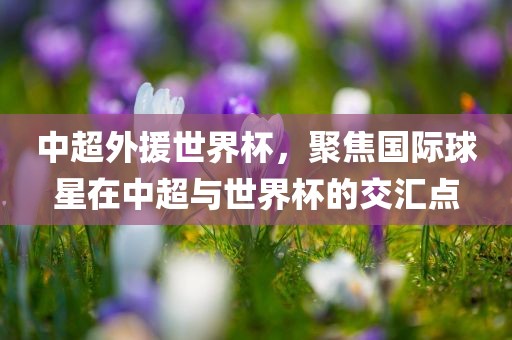 中超外援世界杯，聚焦国际球星在中超与世界杯的交汇点常熟市高丰毛纺织品有限公司