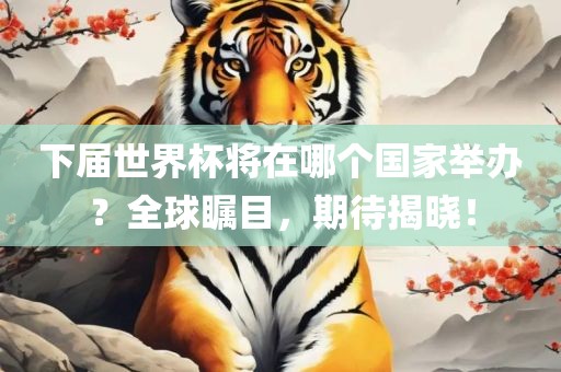 下届世界杯将在哪个国家举办？全球瞩目，期待揭晓！