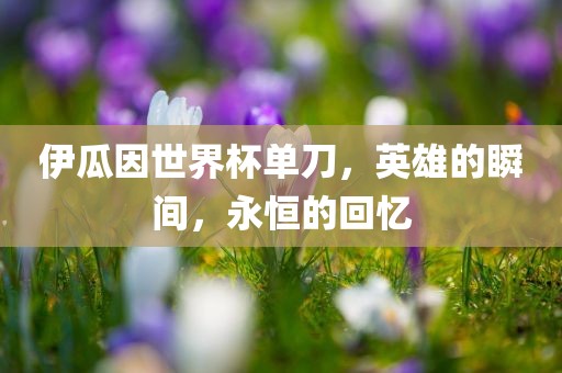 伊瓜因世界杯单刀，英雄的瞬间，永恒的回忆常熟市高丰毛纺织品有限公司