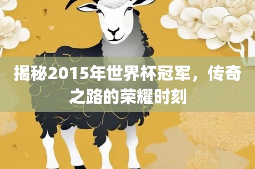 揭秘2015年世界杯冠军，传奇之路的荣耀时刻