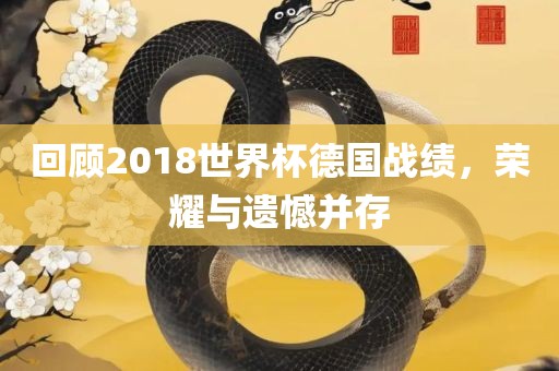 回顾2018世界杯德国战绩，荣耀与遗憾并存常熟市高丰毛纺织品有限公司