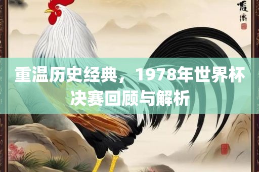 重温历史经典，1978年世界杯决赛回顾与解析