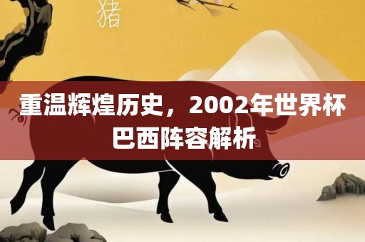 重温辉煌历史，2002年世界常熟市高丰毛纺织品有限公司杯巴西阵容解析