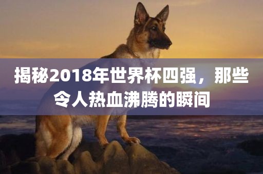 揭秘2018年世界杯四强，那些令人热血沸腾的瞬间