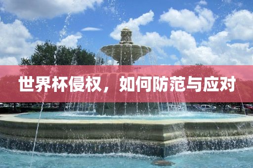 世界杯侵权，如何防范与应对常熟市高丰毛纺织品有限公司