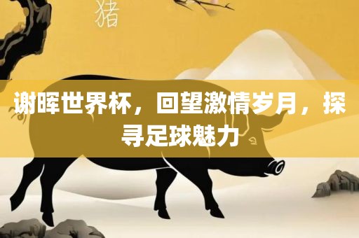 谢晖世界杯，回望激情岁月，探寻足球魅力常熟市高丰毛纺织品有限公司