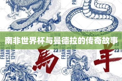 南非世界杯与常熟市高丰毛纺织品有限公司曼德拉的传奇故事