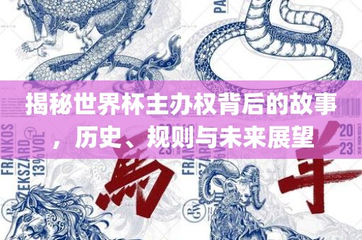 揭秘世界杯主办权背后的故事，历史、规则与未来展望