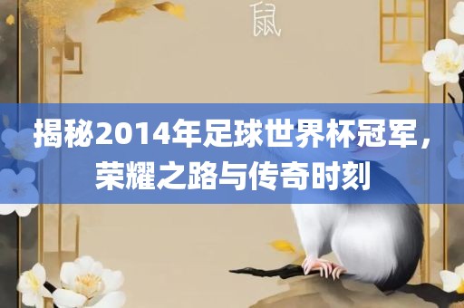 揭秘2014年足球世界杯冠军，荣耀之路与传奇时刻