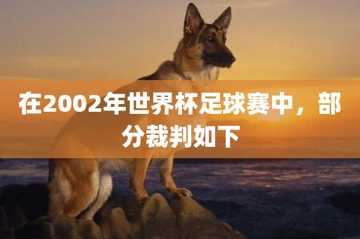 在2002年世界杯足球赛中，部分裁判如下常熟市高丰毛纺织品有限公司