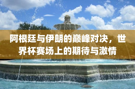 阿根廷与伊朗的巅峰对决，世界杯赛场上的期待与激情常熟市高丰毛纺织品有限公司