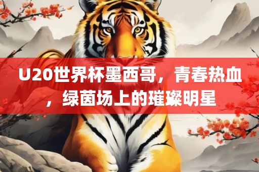 U20世界杯墨西哥，青春热血，绿茵场上的璀璨明星常熟市高丰毛纺织品有限公司