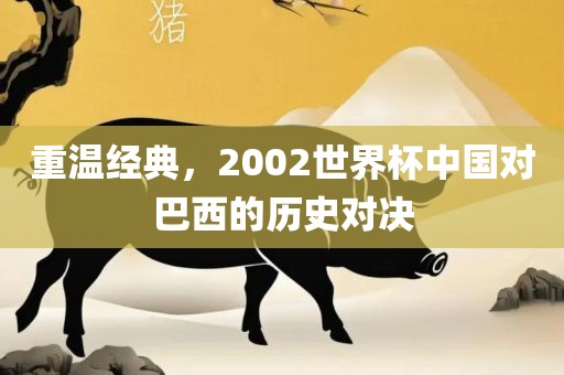 重温经典，2002世界杯中国对巴西的历史对决常熟市高丰毛纺织品有限公司