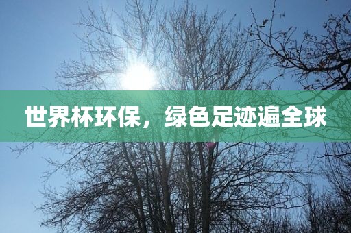 世界杯环保，绿色足迹遍全球常熟市高丰毛纺织品有限公司