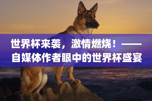 世界杯来袭，激情燃烧！——自媒体作者眼中的世界杯盛宴常熟市高丰毛纺织品有限公司