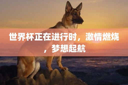 世界杯正在进行时，激情燃烧，梦想起航常熟市高丰毛纺织品有限公司