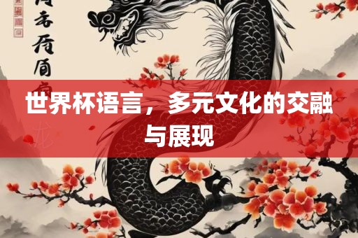 世界杯语言，多元文化的交融与展现常熟市高丰毛纺织品有限公司