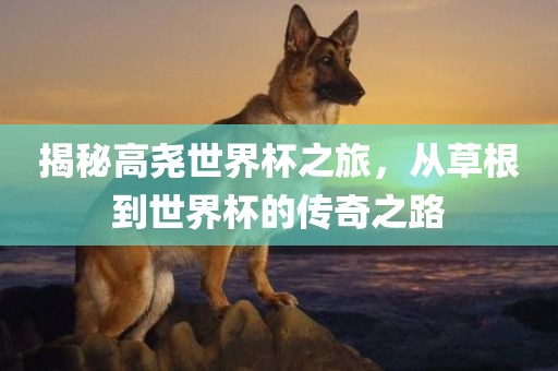 揭秘高尧世界杯之旅，从草根到世界杯的传奇之路常熟市高丰毛纺织品有限公司