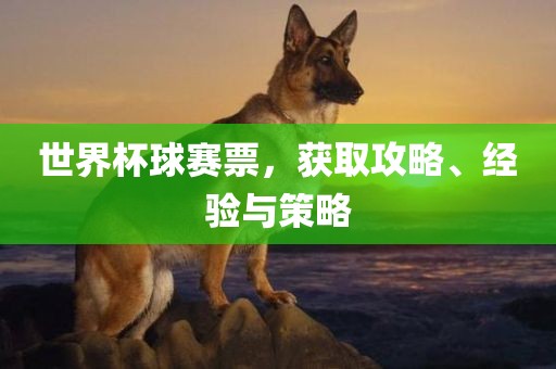 世界杯球赛票，获取攻略、经验与策略常熟市高丰毛纺织品有限公司