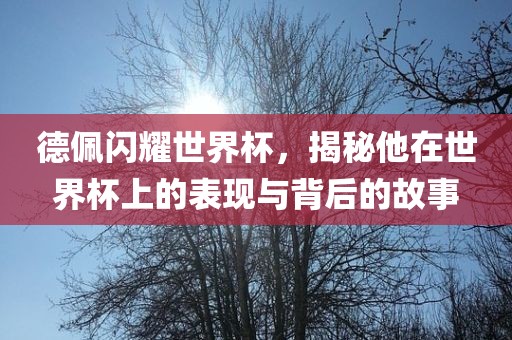 德佩闪耀世界杯，揭秘他在世界杯上的表现与背后的故事