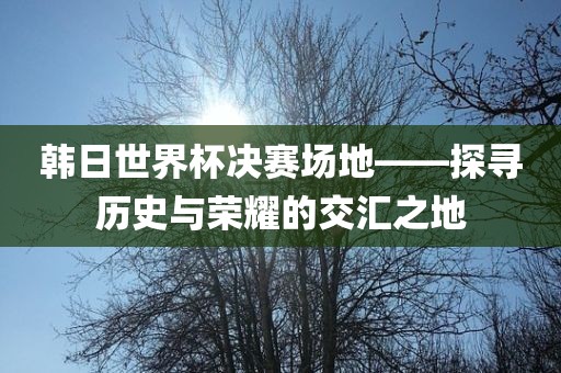 韩日世界杯决赛场地——探寻历史与荣耀的交汇之地常熟市高丰毛纺织品有限公司