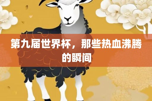 第九届世界杯，那些热血沸腾的瞬间