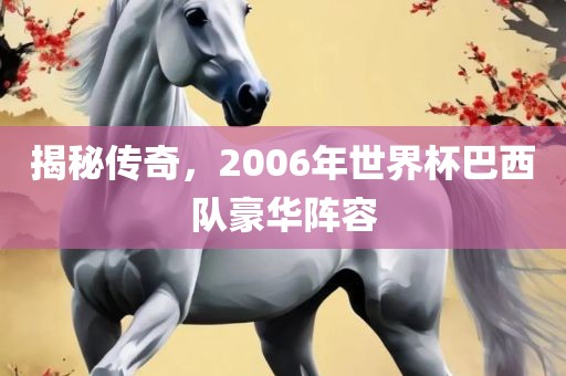 常熟市高丰毛纺织品有限公司揭秘传奇，2006年世界杯巴西队豪华阵容