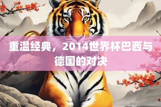 重温经典，2014世界杯巴西与德国的对决
