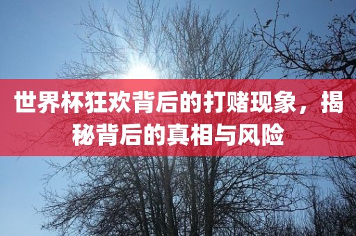 世界杯狂欢背后的打赌现象，揭秘背后的真相与风险常熟市高丰毛纺织品有限公司