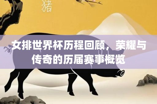 女排世界杯历程回顾，荣耀与传奇的历届赛事概览常熟市高丰毛纺织品有限公司