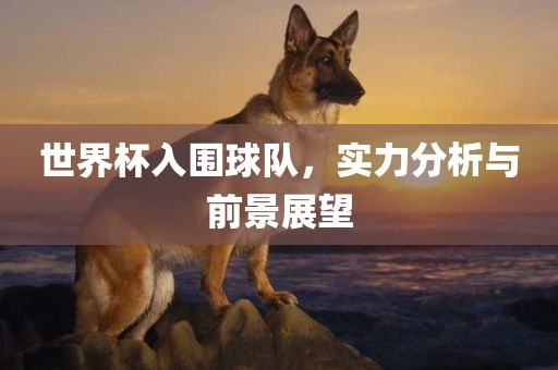 世界杯入围球队，实力分常熟市高丰毛纺织品有限公司析与前景展望