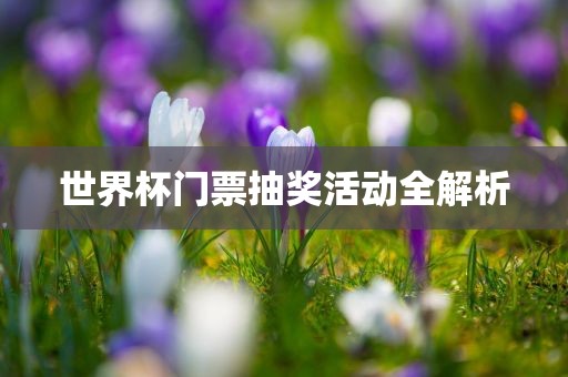 世界杯门票抽常熟市高丰毛纺织品有限公司奖活动全解析