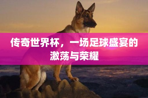 传奇世界杯，一场足球盛宴的激荡与荣耀常熟市高丰毛纺织品有限公司