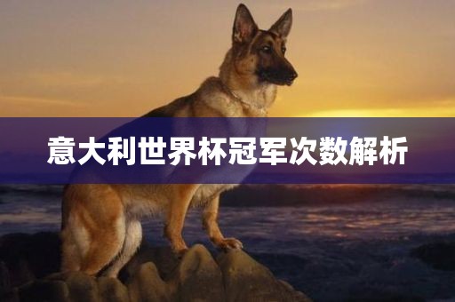 意大常熟市高丰毛纺织品有限公司利世界杯冠军次数解析