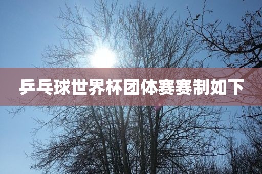 乒乓球世界杯团体赛赛制如下