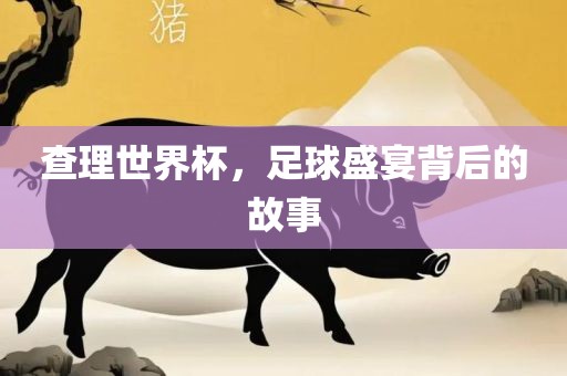 查理世界杯，常熟市高丰毛纺织品有限公司足球盛宴背后的故事