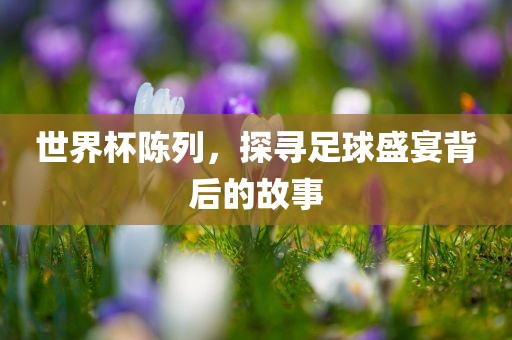 世界杯陈列，探寻足球盛宴背后的故事