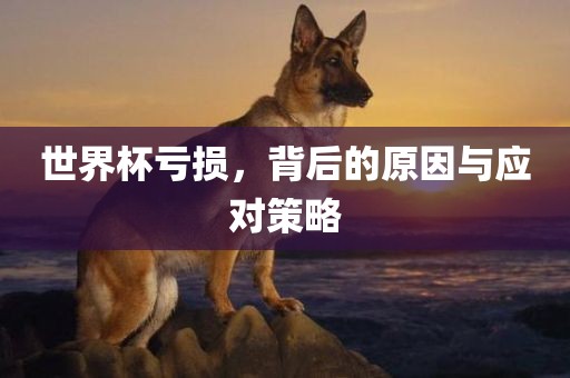 世界杯亏损，背后的原因与应对策略常熟市高丰毛纺织品有限公司