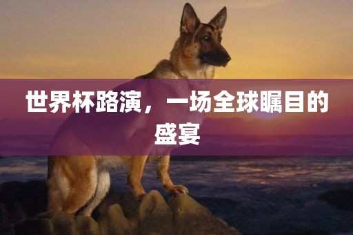 世界杯路演，一场全球瞩目的盛宴